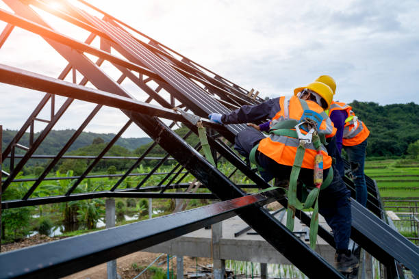 Best Roof Maintenance Services  in Black Diamond, WA