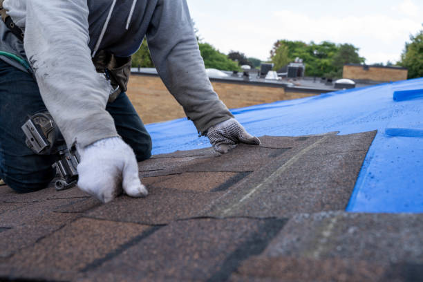 Best Residential Roofing Contractor  in Black Diamond, WA