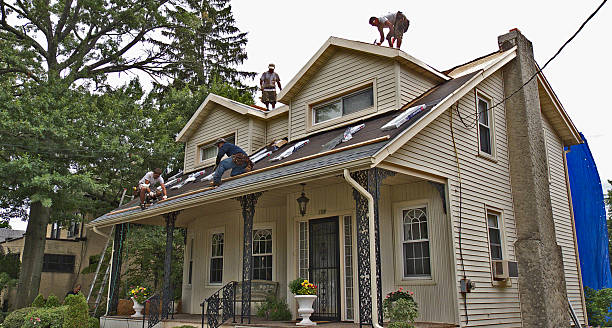 Best Gutter Installation and Roofing  in Black Diamond, WA