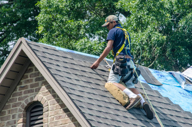 Best Roof Gutter Cleaning  in Black Diamond, WA